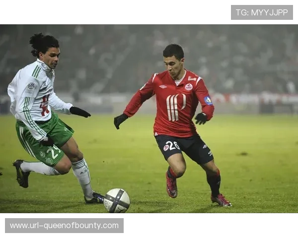 皮埃尔-莫鲁瓦球场:里尔主场堡垒的统计数据 皮埃尔-莫鲁瓦球场:里尔主场堡垒的统计数据