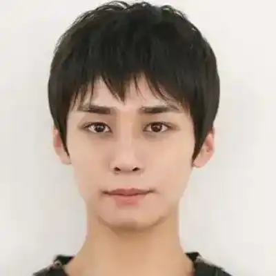 文葵兰